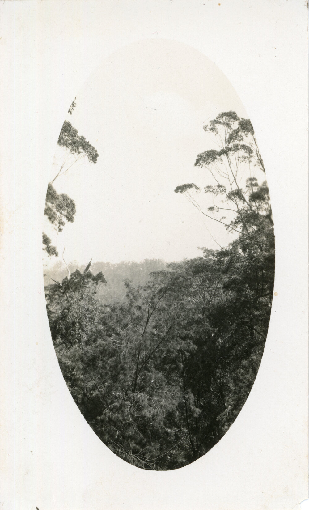 Bush scene, 1929 - 1930