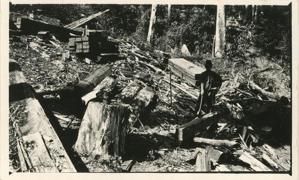 A sawyer pauses amongst the piles of timber