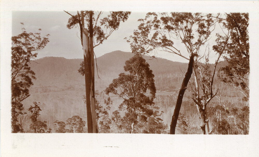Looking north from Mt Browne, 1930