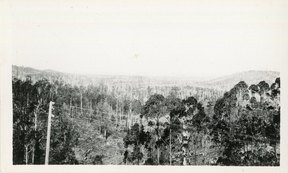 View from Red Hill