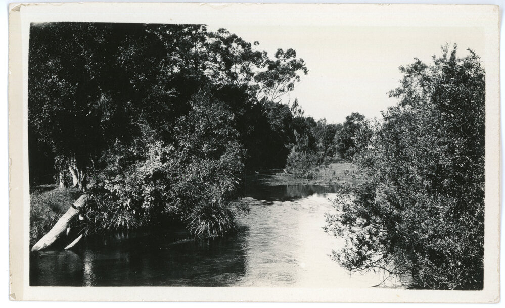 Karangi Creek at "Otley", c. 1930