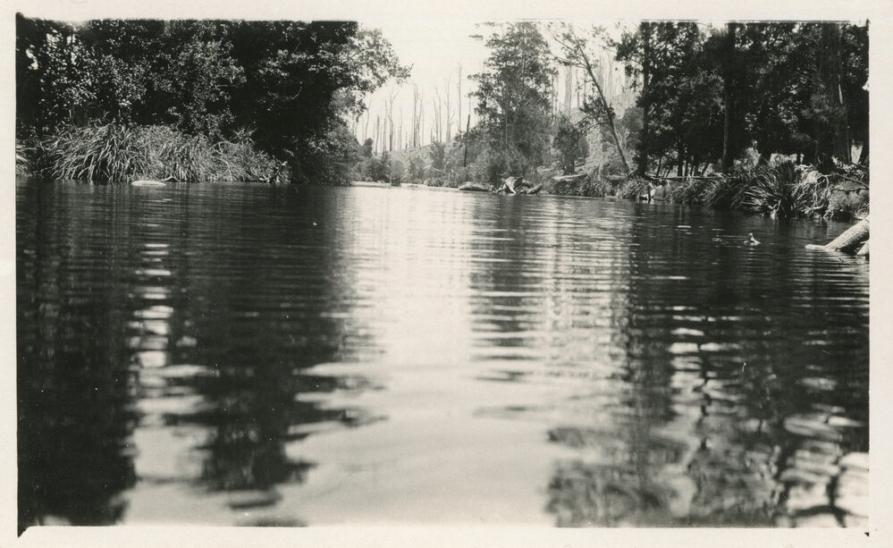 View of the Orara River, c. 1930