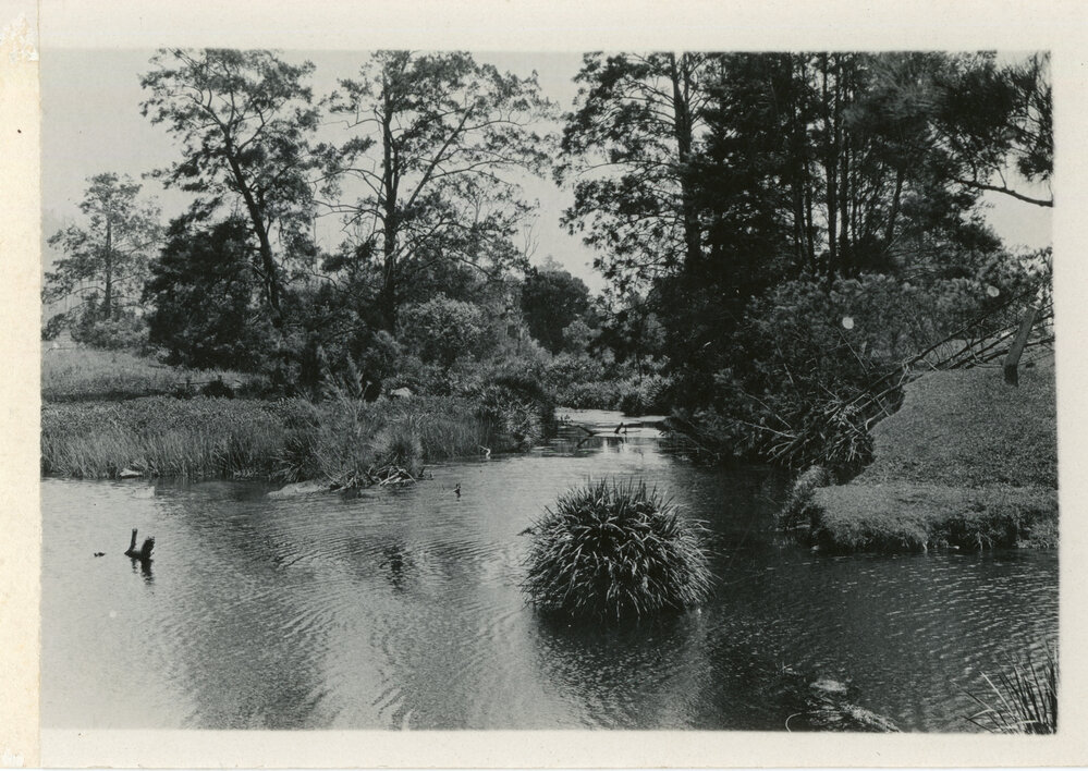 The Orara River at Karangi, 1930