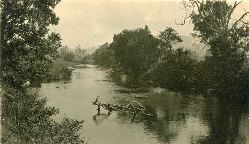 View of the Orara River, 1930