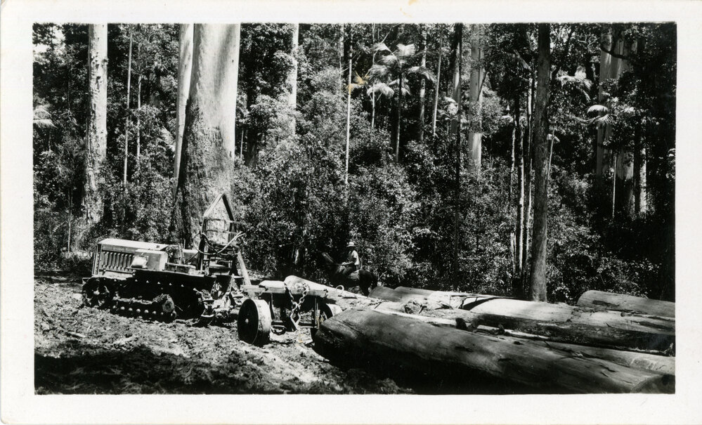 Logging with tractor, 1936