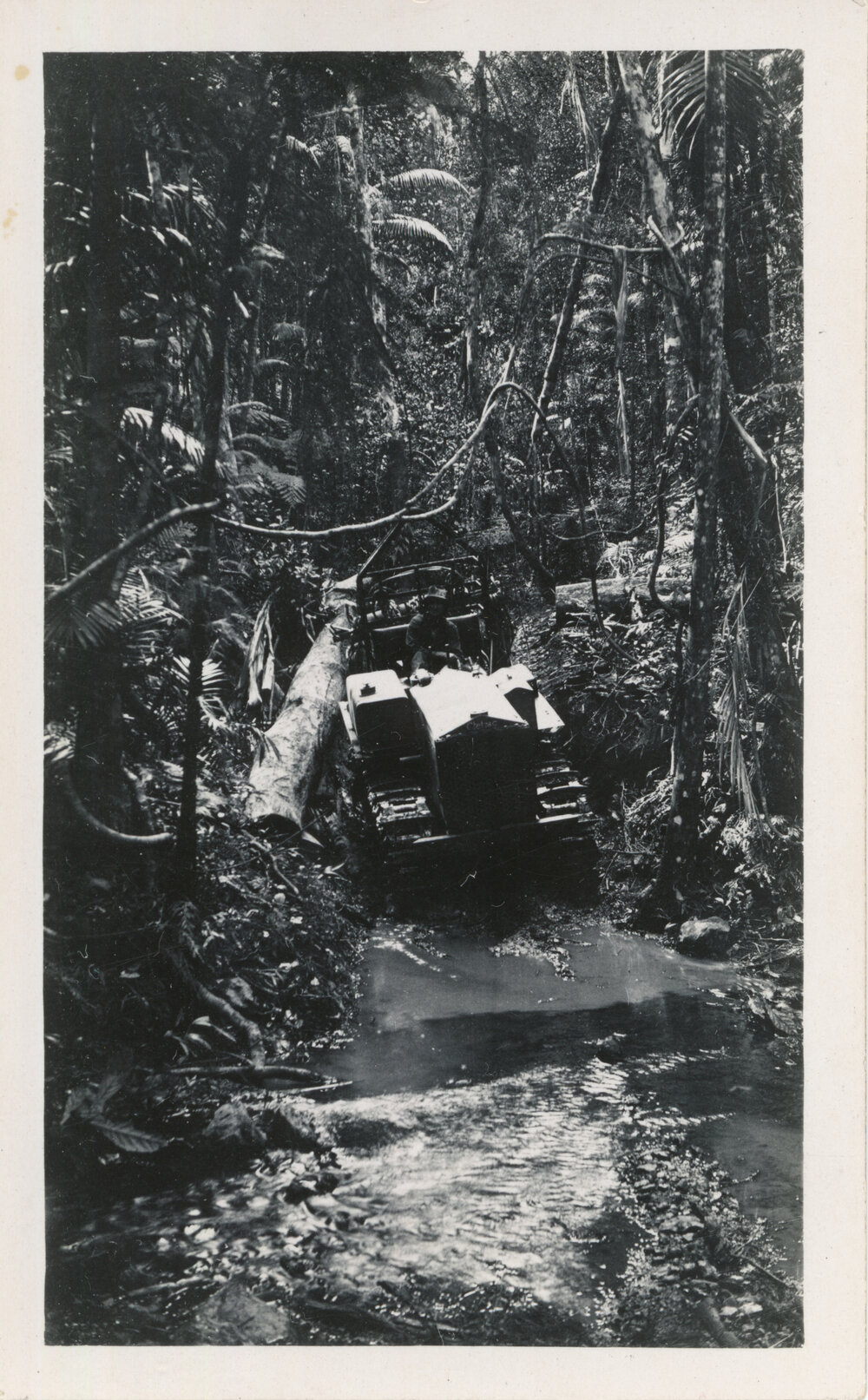 Logging with tractor, 1936