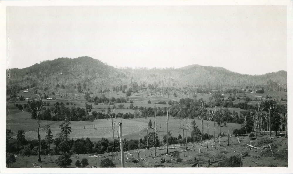 Orara River flats