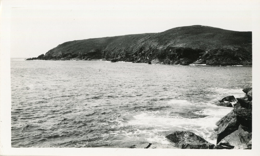 Muttonbird Island