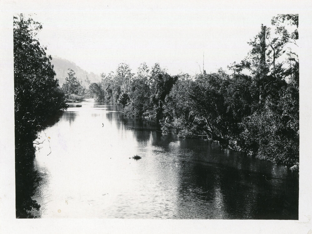 View of the Orara River from the traffic bridge, 1930