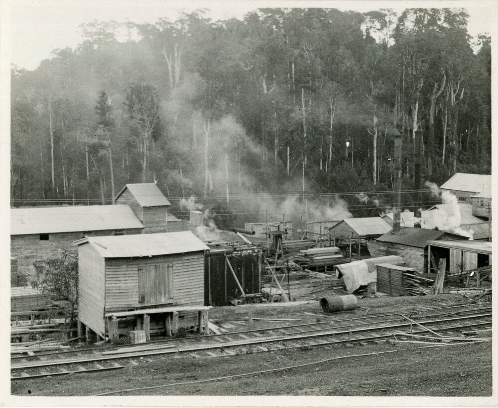 Briggsvale sawmill, 29 September 1936