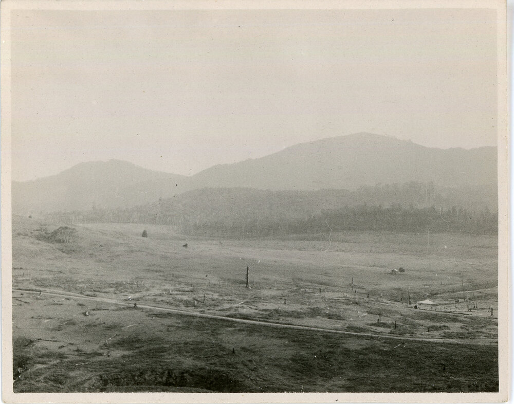 Eastern Dorrigo, 1936