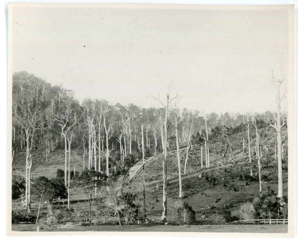 The Maston family farm "Otley", 1936