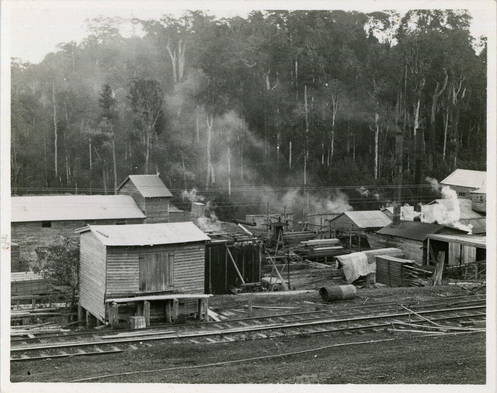 Briggsvale sawmill, 29 September 1936