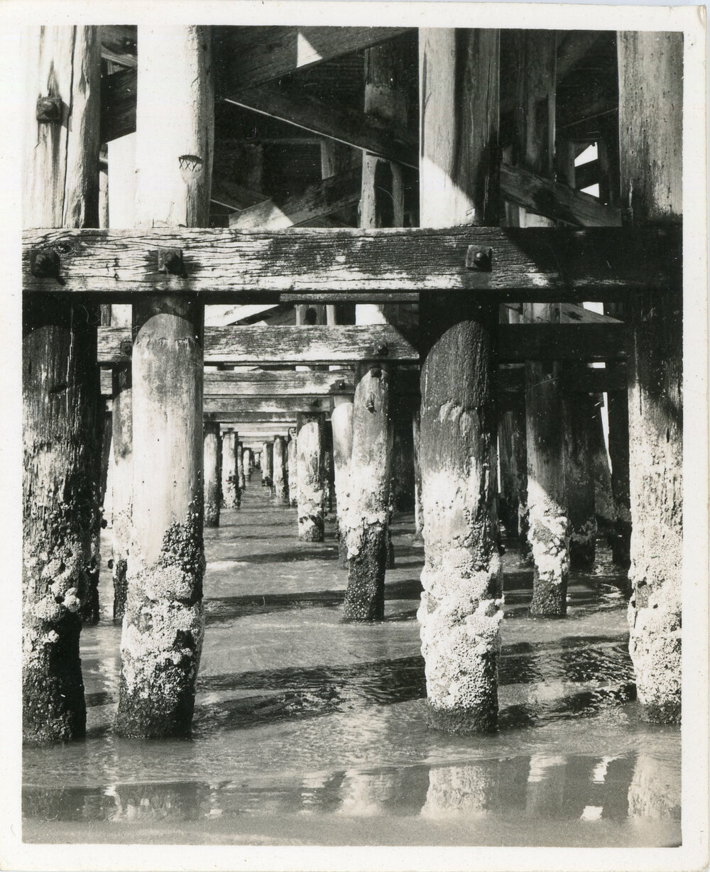 Timber pylons underneath the jetty, 1936
