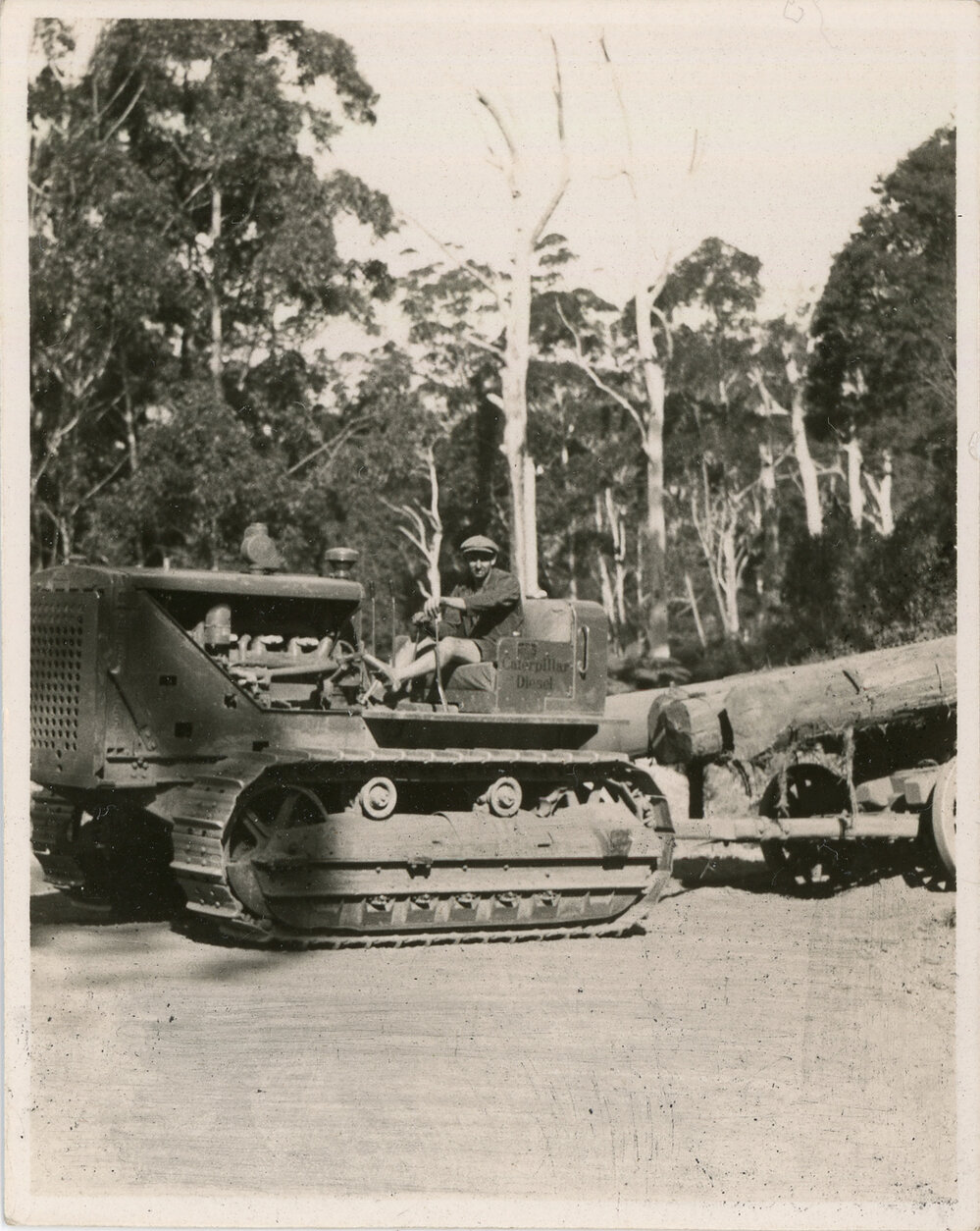 A log hauler on the Eastern Dorrigo, 1936