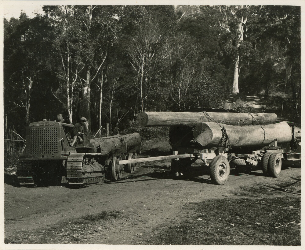 A log hauler on the East Dorrigo Road, 1936