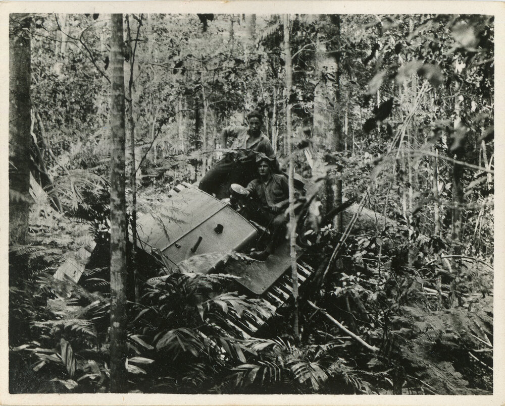  A Caterpillar diesel fifty logging tractor in the rainforest, 1936