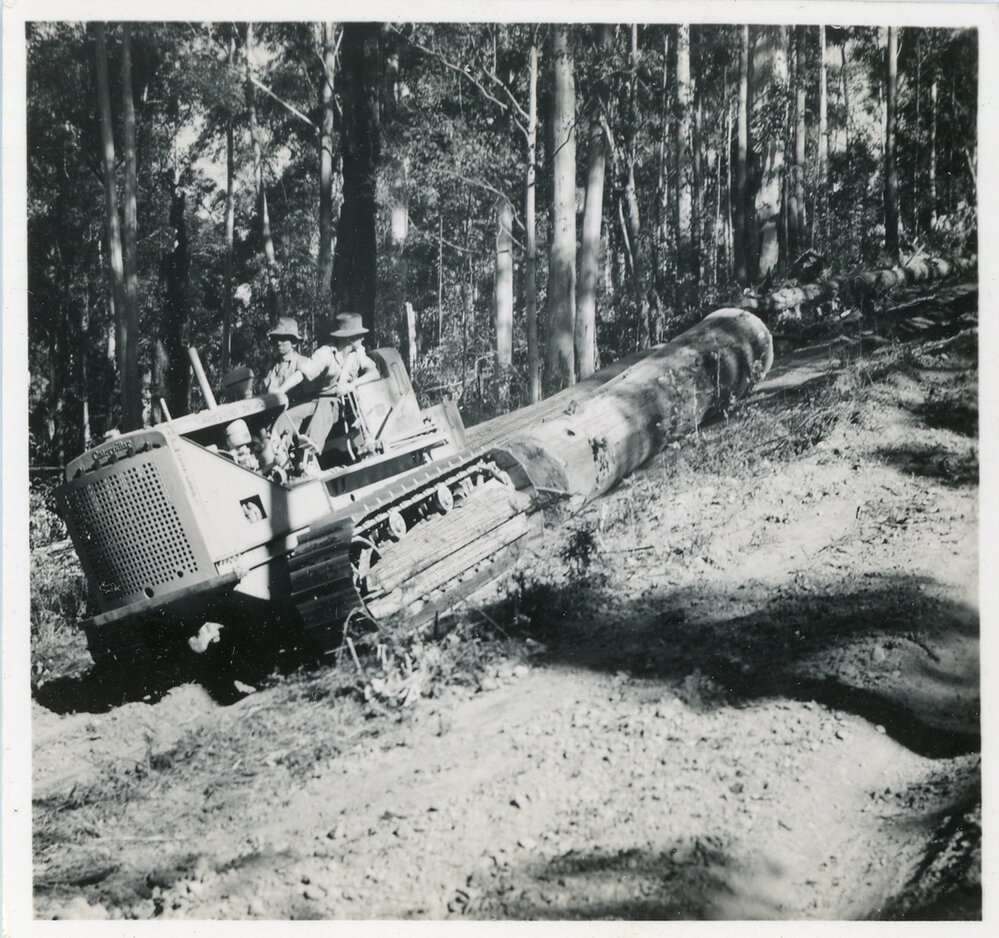 A Caterpillar diesel fifty tractor pulling a log, 1936