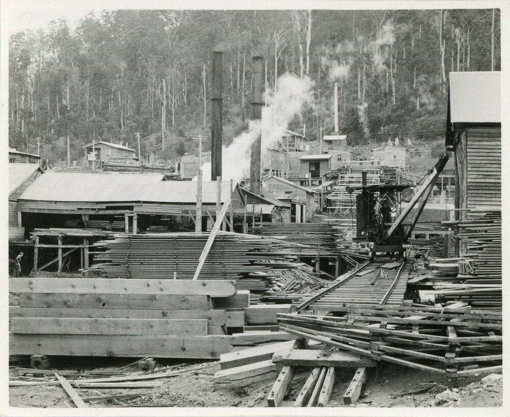 Briggsvale sawmill, 29 September 1936