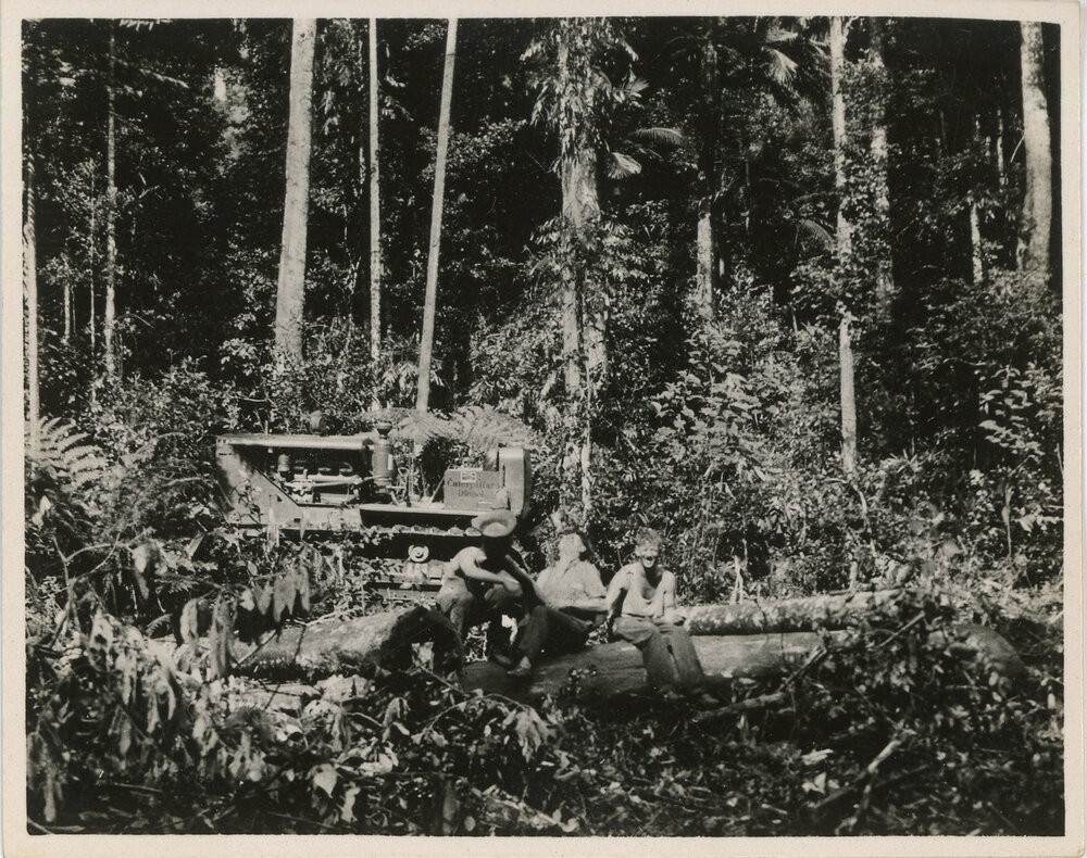 Three sawyers on Bruxner Park Road, 1936