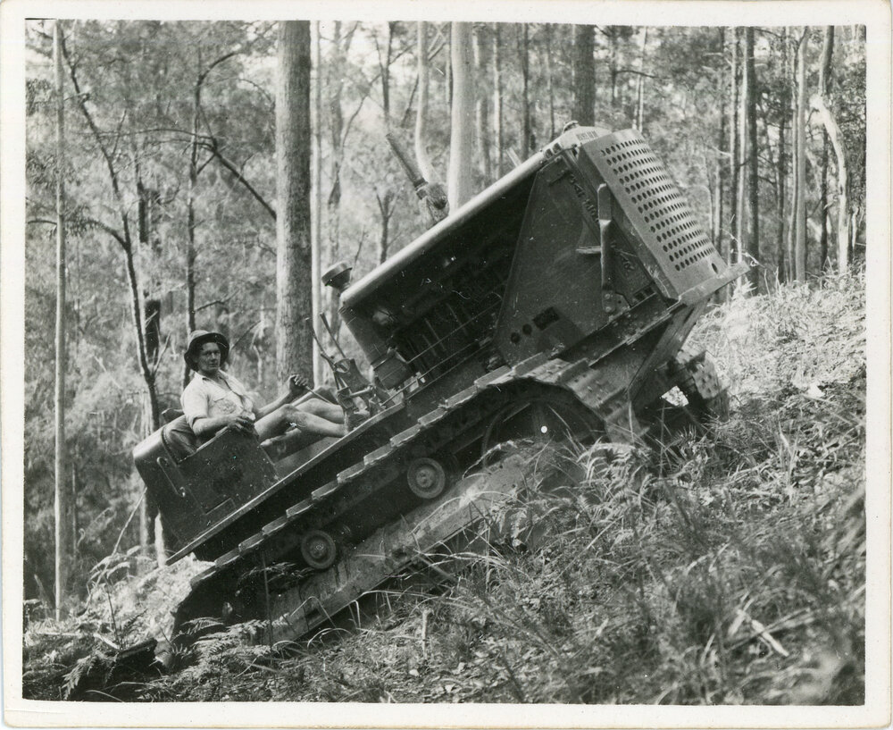 Caterpillar diesel fifty logging tractor, 1936