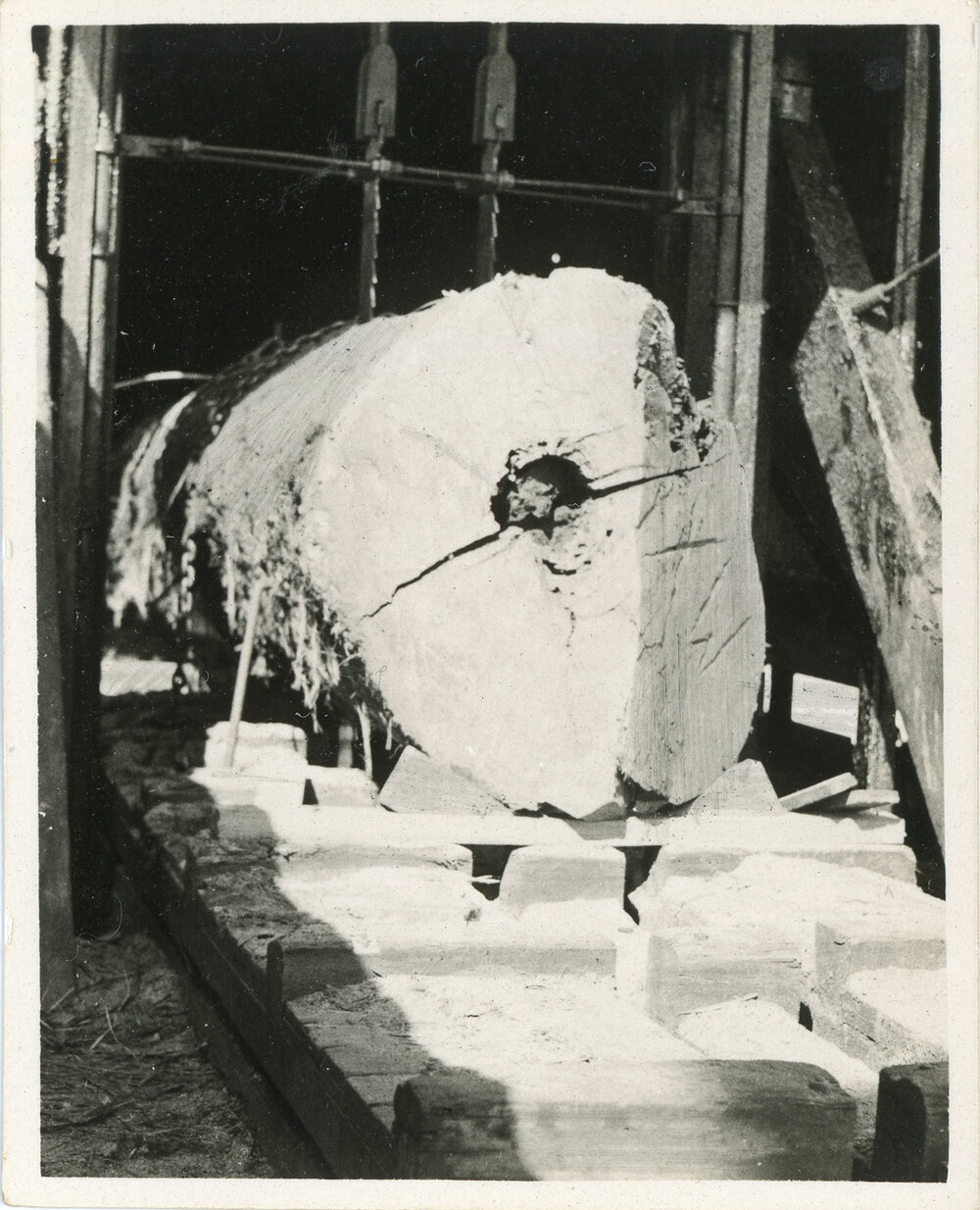 A log ready for cutting, 1936