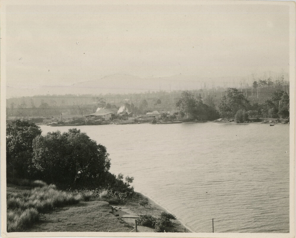 Sawmill on the Bellinger River, 1936