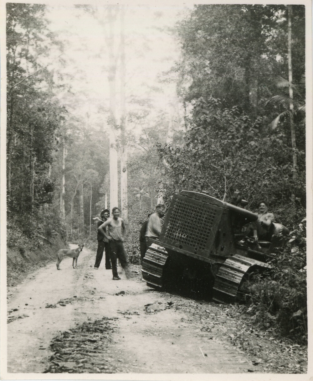 Sawyers on Bucca Road in the forest, 1936
