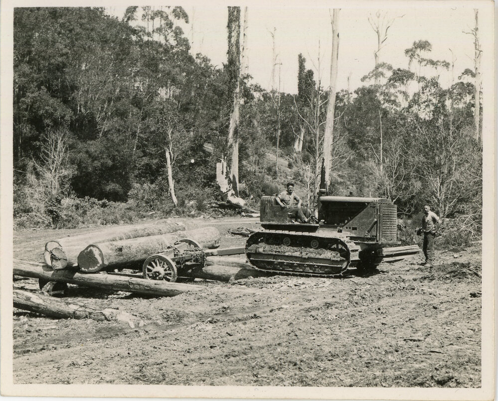 Caterpillar logging tractor rolling logs, 1936