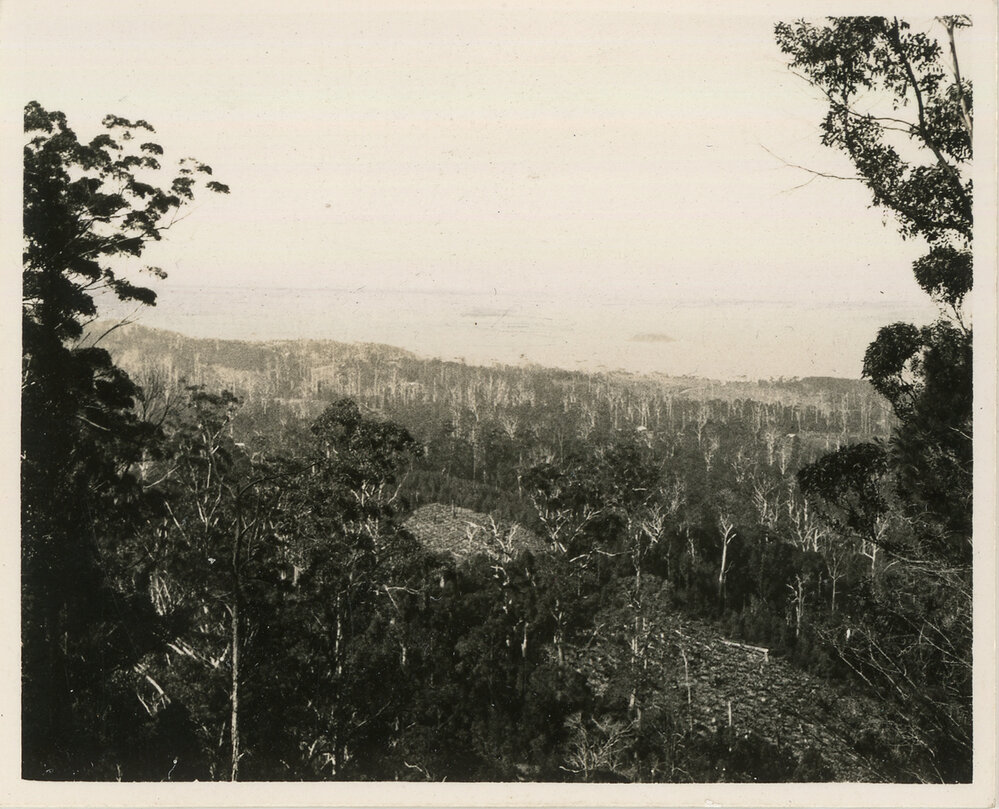 A view of over the hills to Coffs, 1936