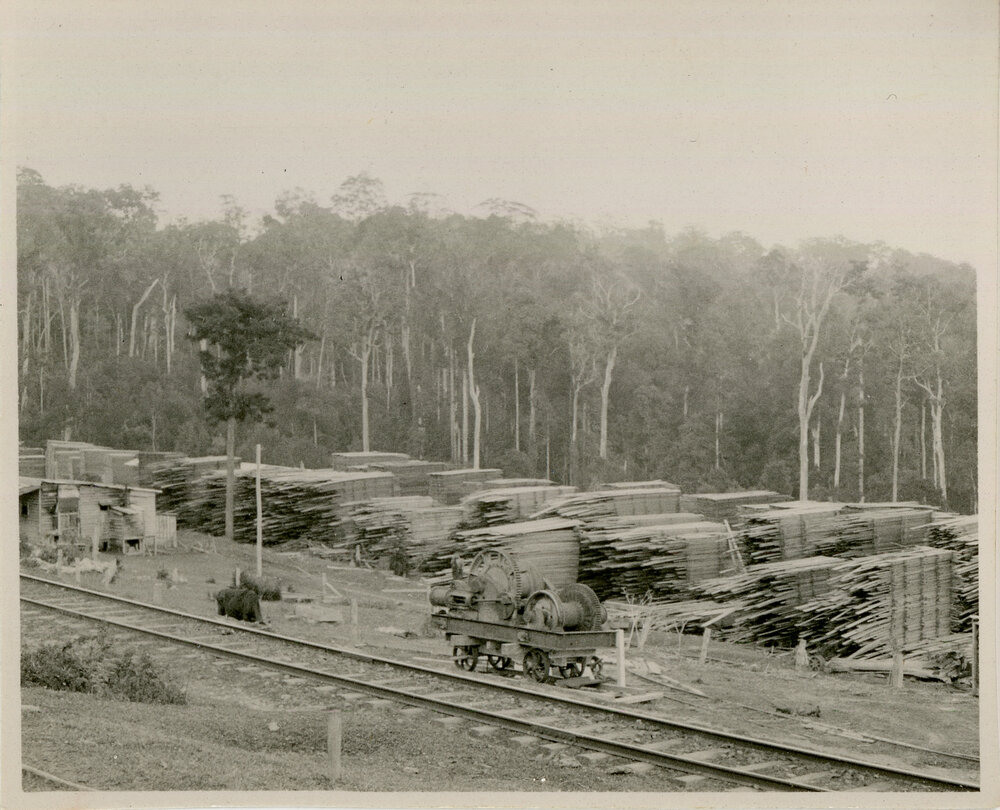 Piles of lumber at the Briggsvale sawmill, 29 September 1936