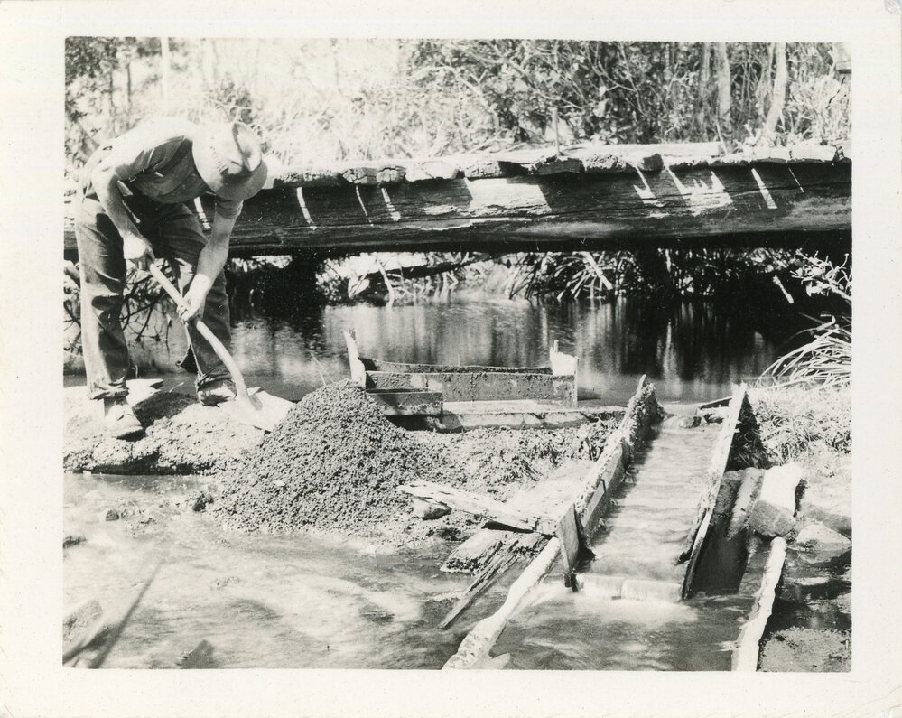Sluicing for gold at the Record Reign mine, 1936