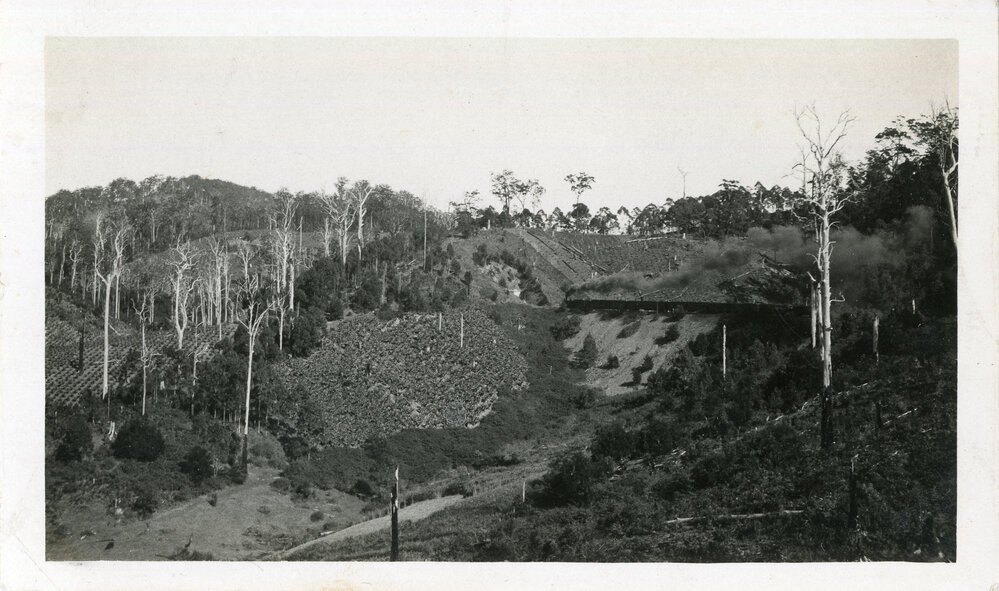 The North Coast Mail train climbs Red Hill, 1930