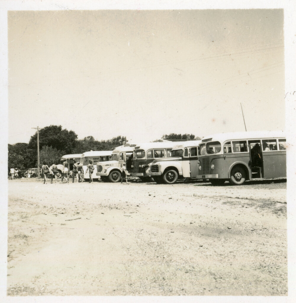 Buses parked in line at the surf carnival