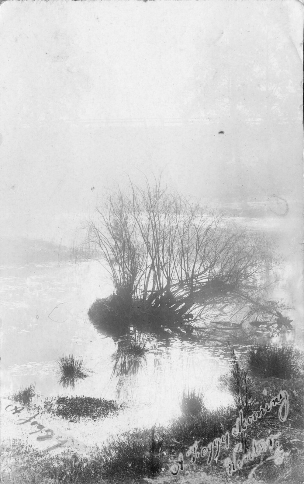 View of a stream, Winter 1908