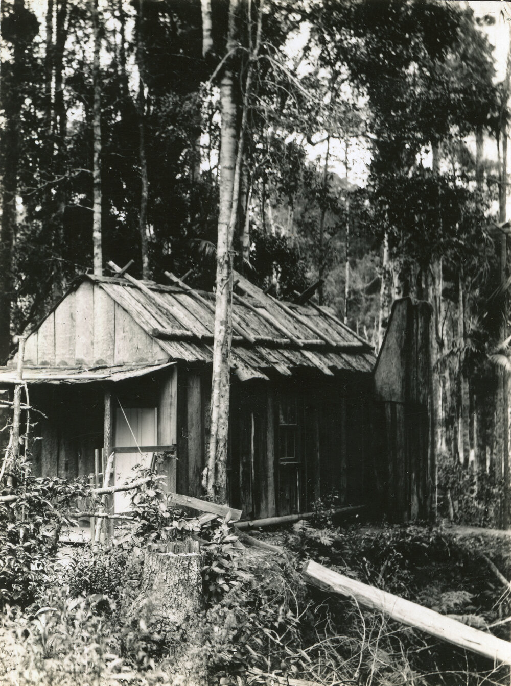 Miner's cottage of Lee Foon, 1898