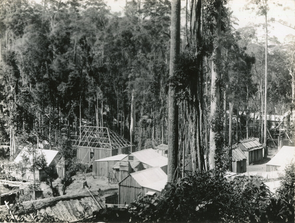 Portion of the settlement at the Bucca Creek mines, 1898