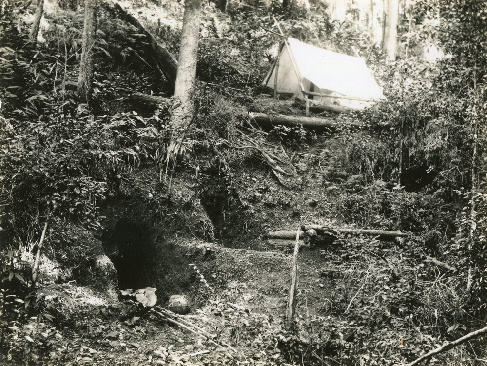 Miner's tent at Bucca Creek, 1898