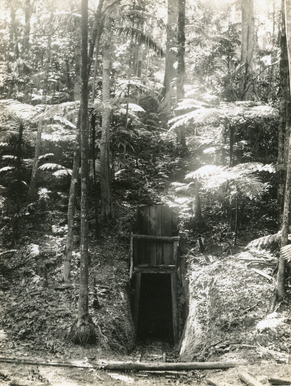 Mine tunnel entrance at Bucca Creek, 1898