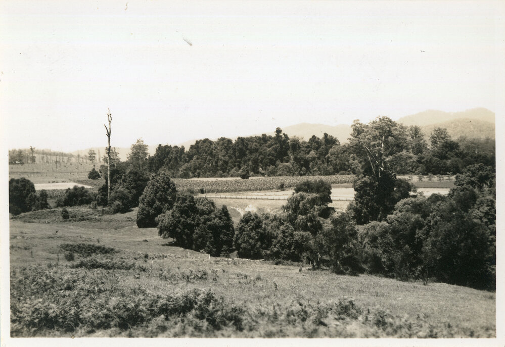 River flats along Eastbank Road, 29 December 1946