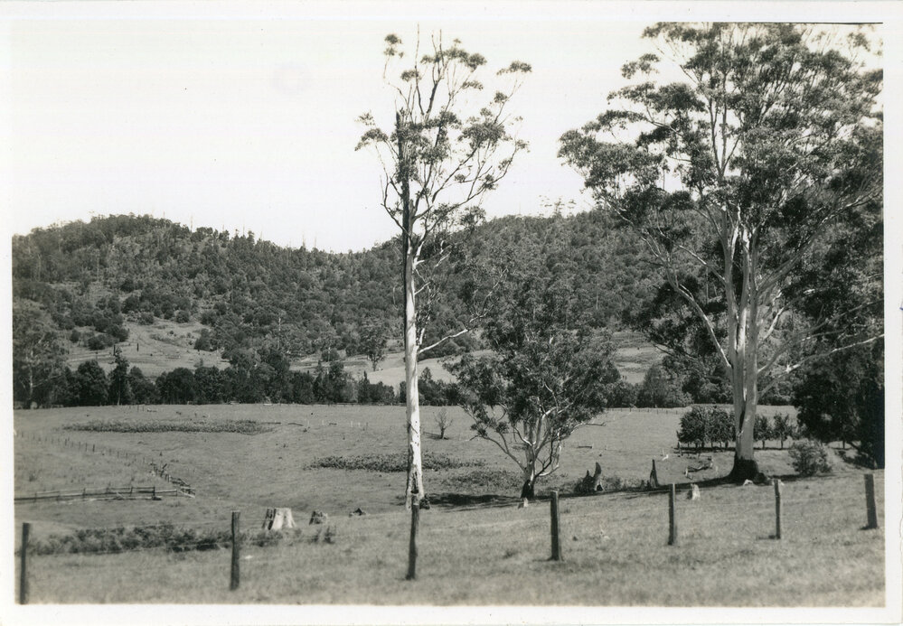 Orara Valley view, 8 January 1947