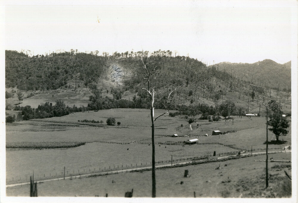 Orara Valley view, 8 January 1947