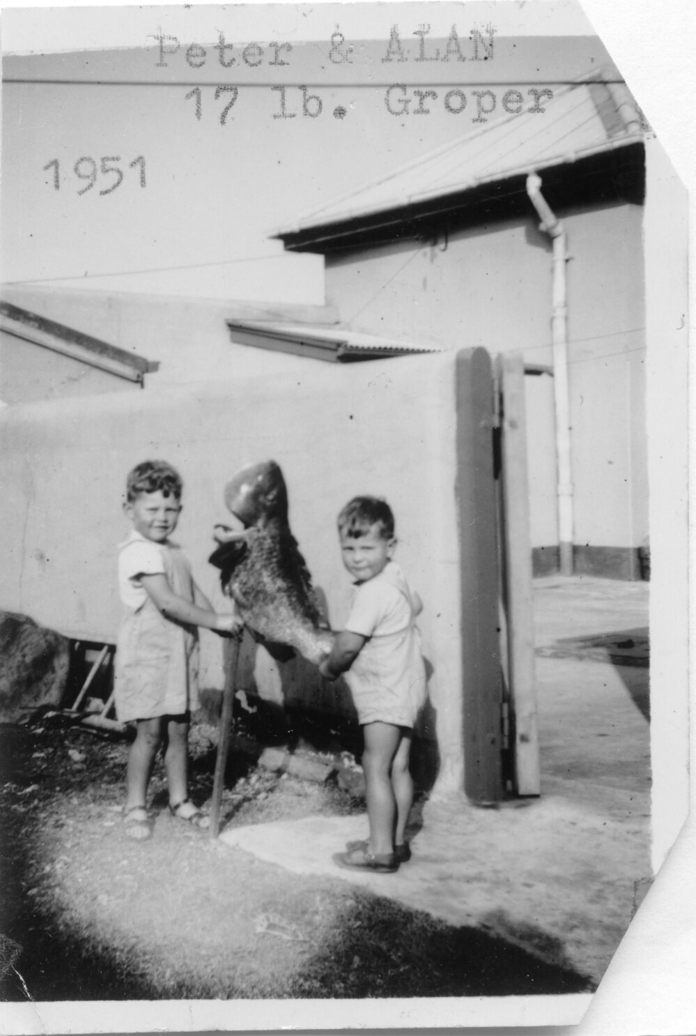 Peter and Alan Chappelow with a groper, 1951