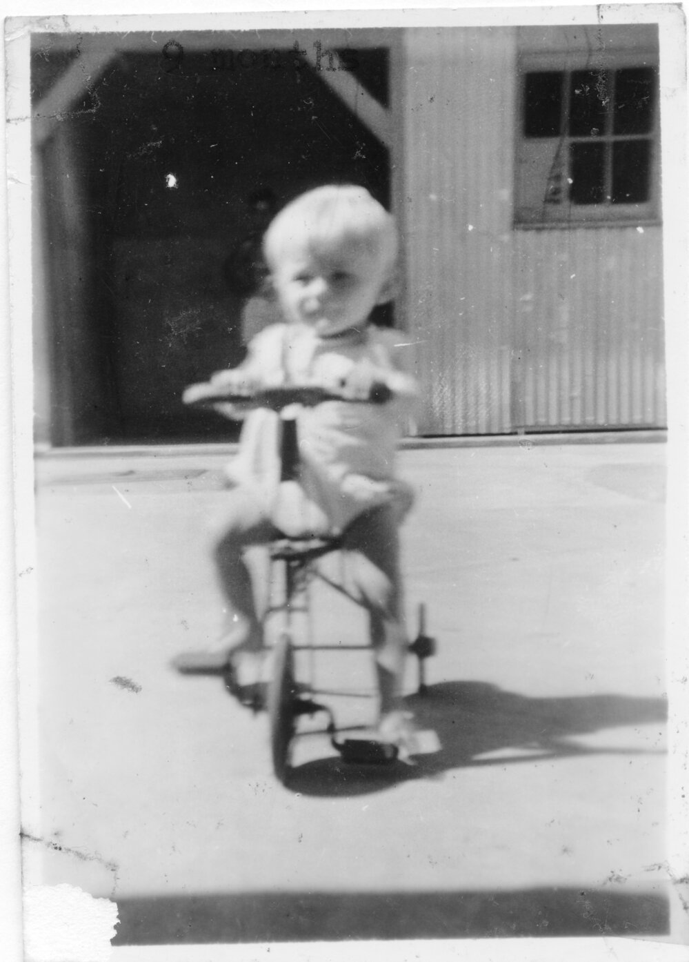 Steven Hobman riding his tricycle on South Solitary Island, 1954