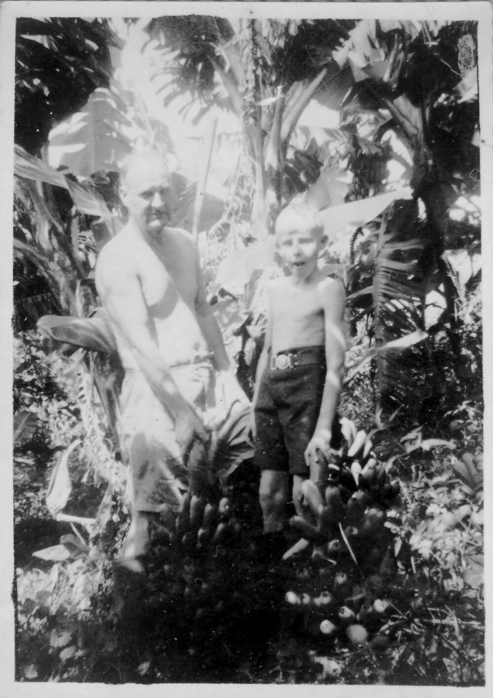 David and Robert Nicol standing on the small-cropping block, 1950s 