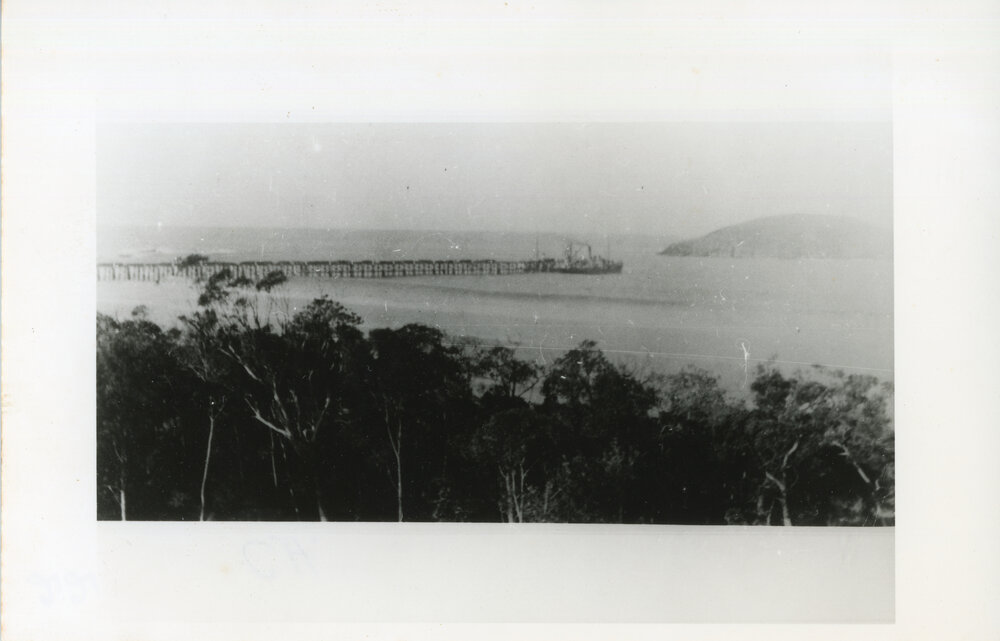 Coffs Harbour Jetty and Muttonbird Island, c.1908