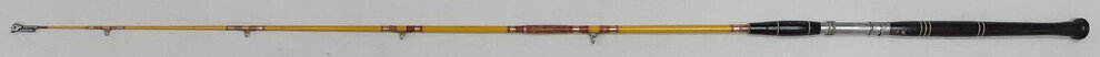 Fishing Rod