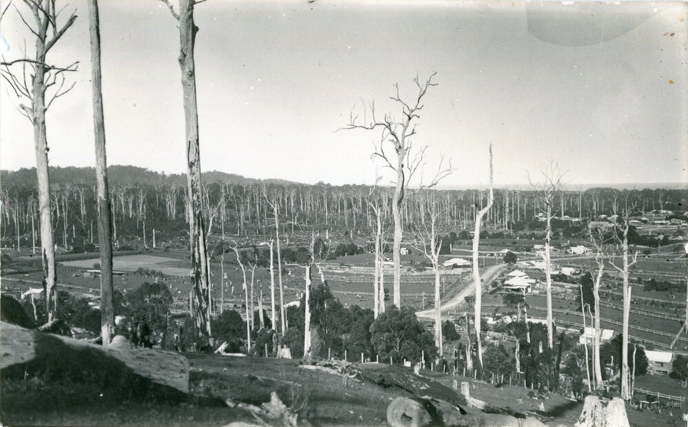 View from Roberts Hill looking east towards Coffs Harbour, June 1924