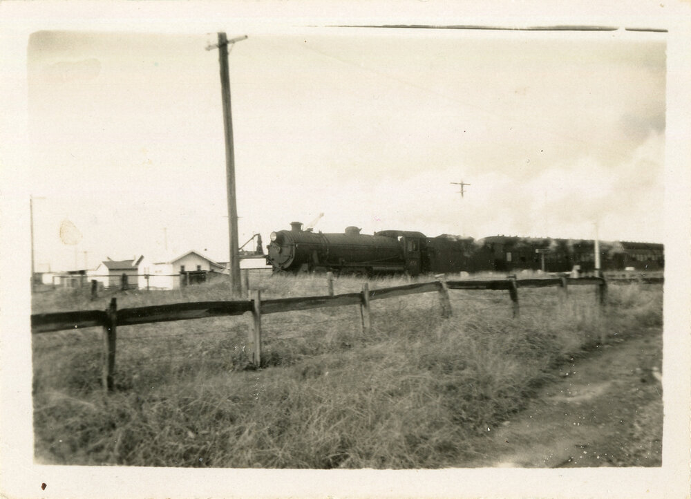 Steam train at Coffs