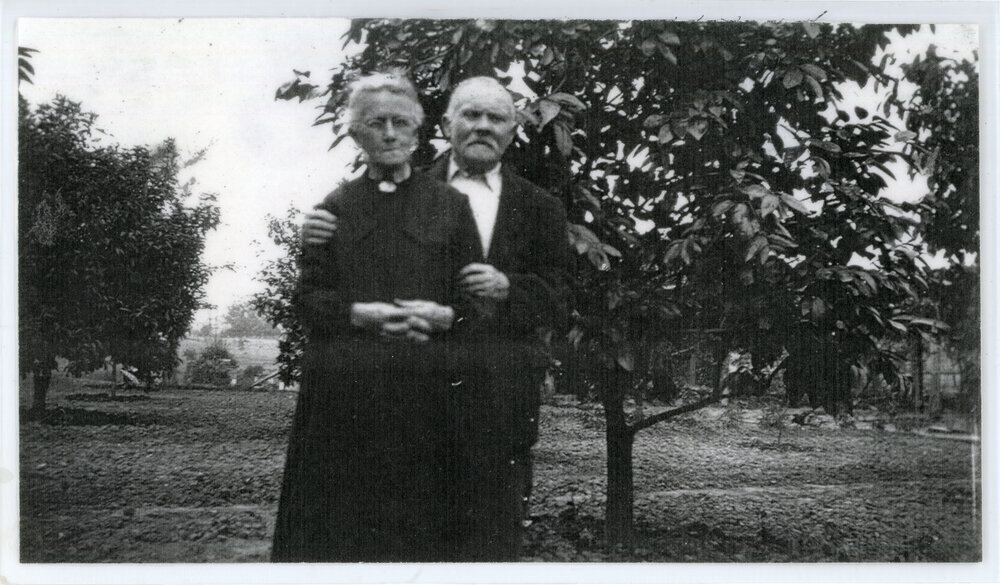Portrait of a couple in an orchard